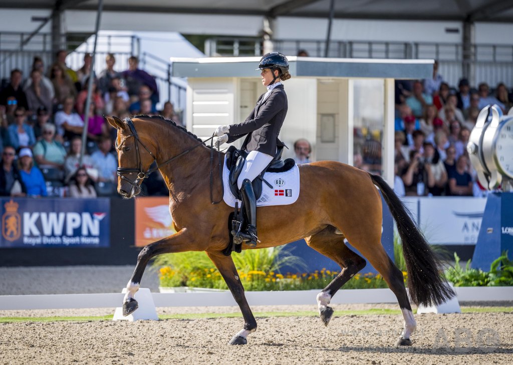 WK-merrie Valerie B naar Patrik Kittel featured image