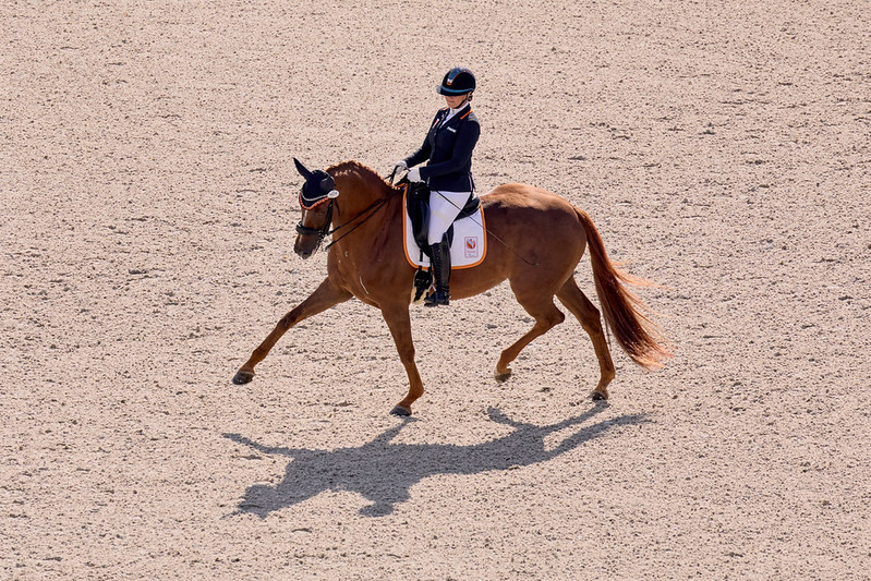 Haerkens pakt ook goud in kür Grade IV in Parijs featured image