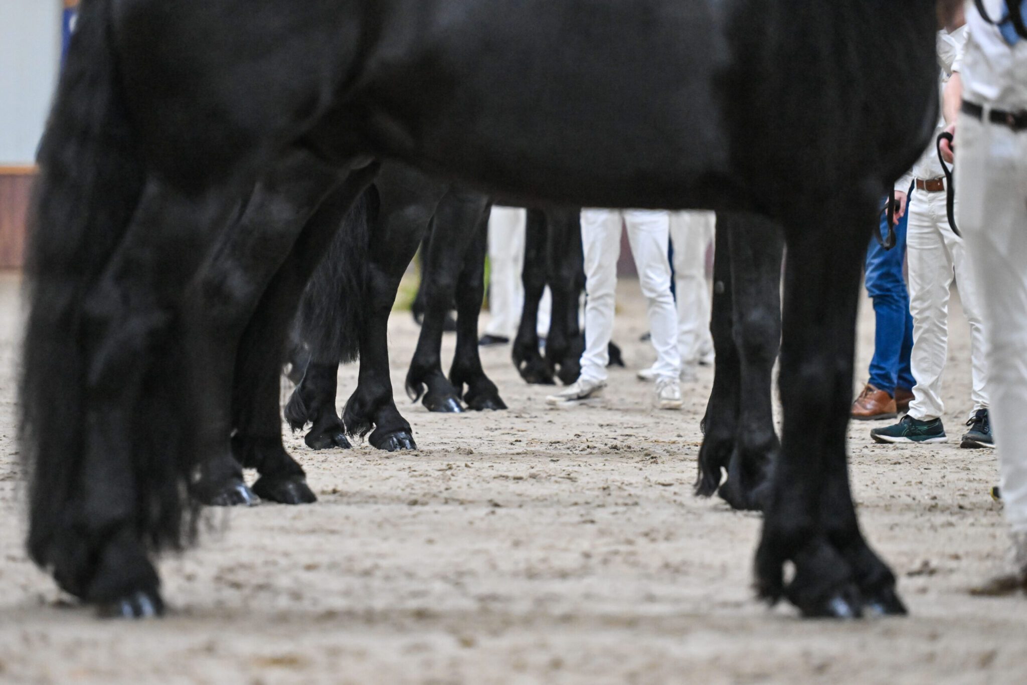 KFPS: Acht sterren op locatiekeuring Sintjohannesga