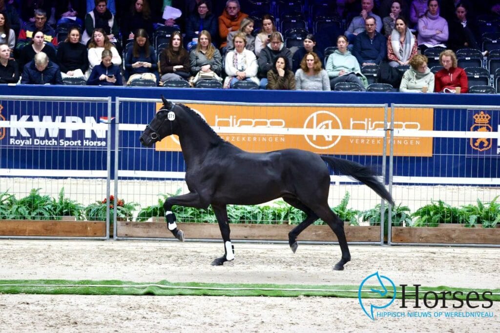 Joop van Uytert koopt zich in bij KSS-topper Scaramouche van Witte en Van der Lei featured image
