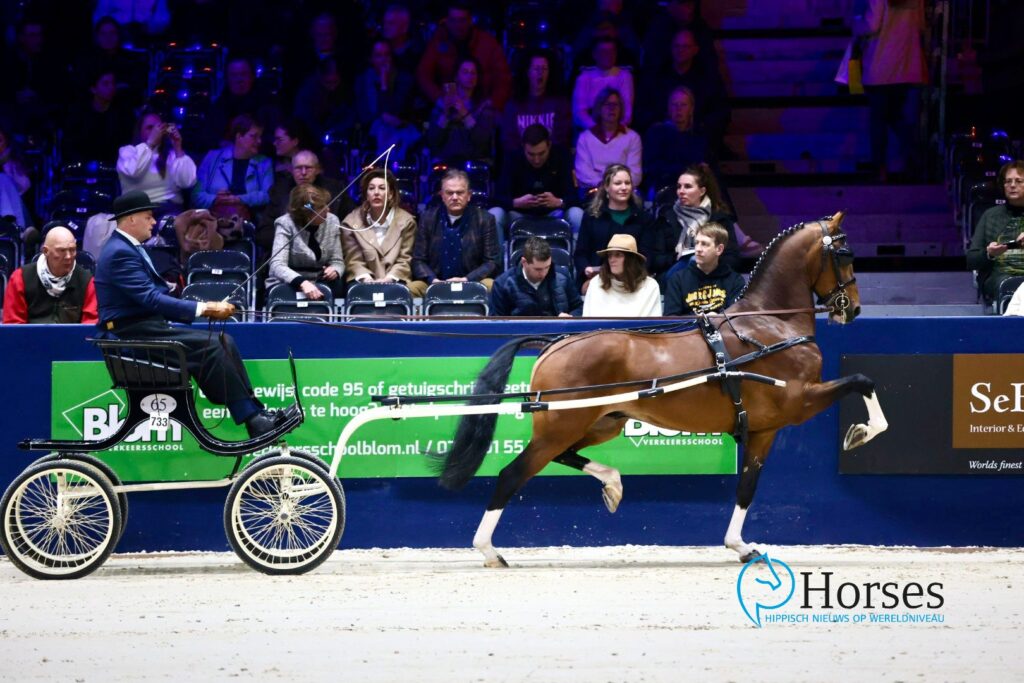 Rayan EVL van Van Manen en Santos van Huckriede teruggetrokken voor KWPN VO featured image