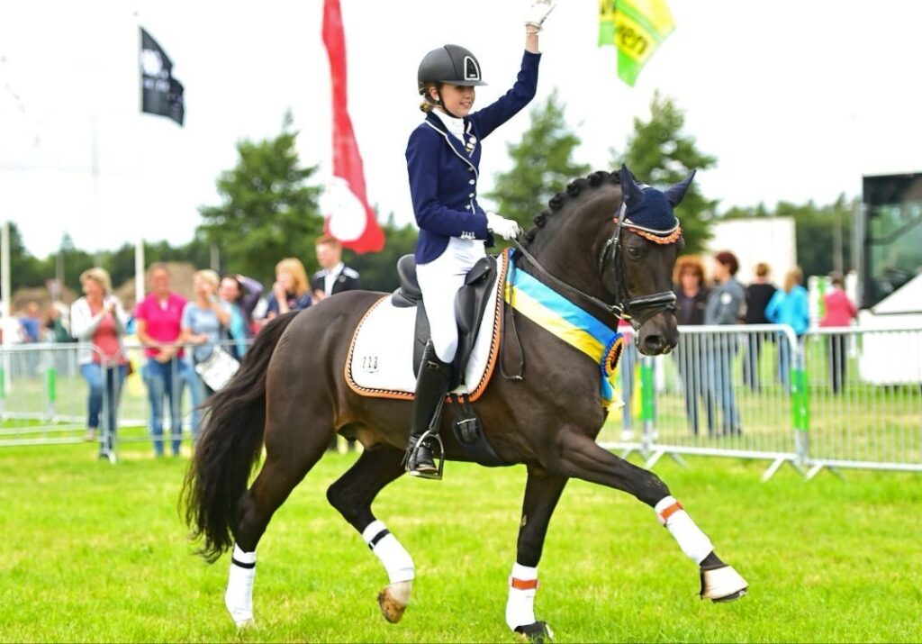Kantjes Wonderboy (22) goedgekeurd bij Weser-Ems featured image
