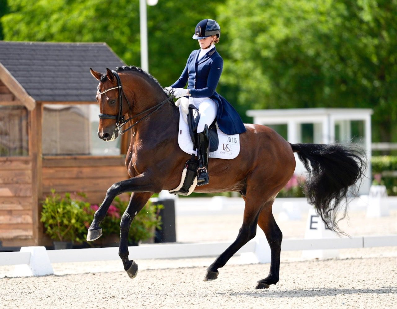 CDI Kronenberg: Overwinning voor Van der Putten in Inter I kür op muziek met About You RS2