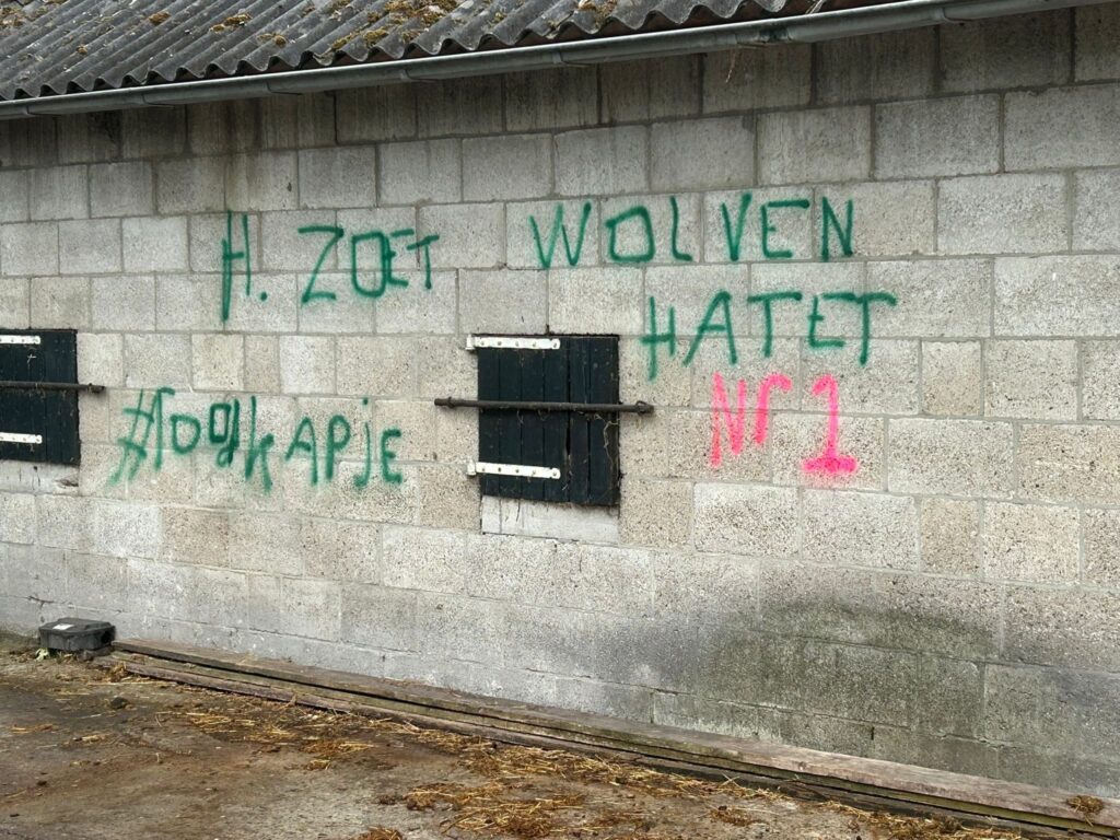 Stal Harold Zoet beklad met tekst ‘Wolvenhater nr 1’ featured image