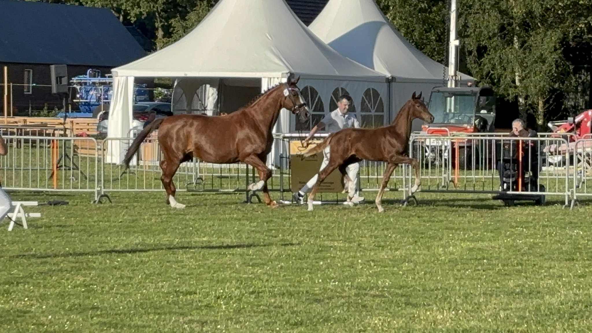 VK Oosterhesselen: Kampioenen van Emir R en Proud James