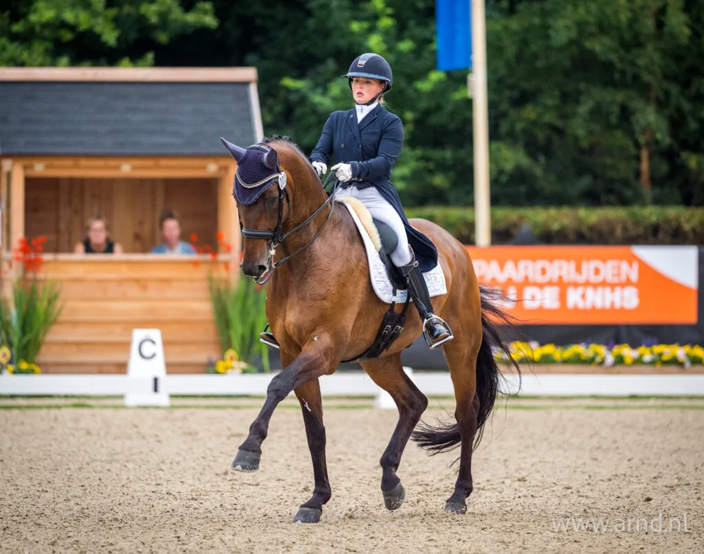 Alle Subtopuitslagen op rij: week 40 featured image