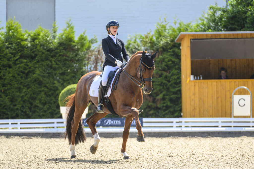 11.000 euro voor Vitalos FRH-zoon in vijfde KWPN Online Veulenveiling featured image