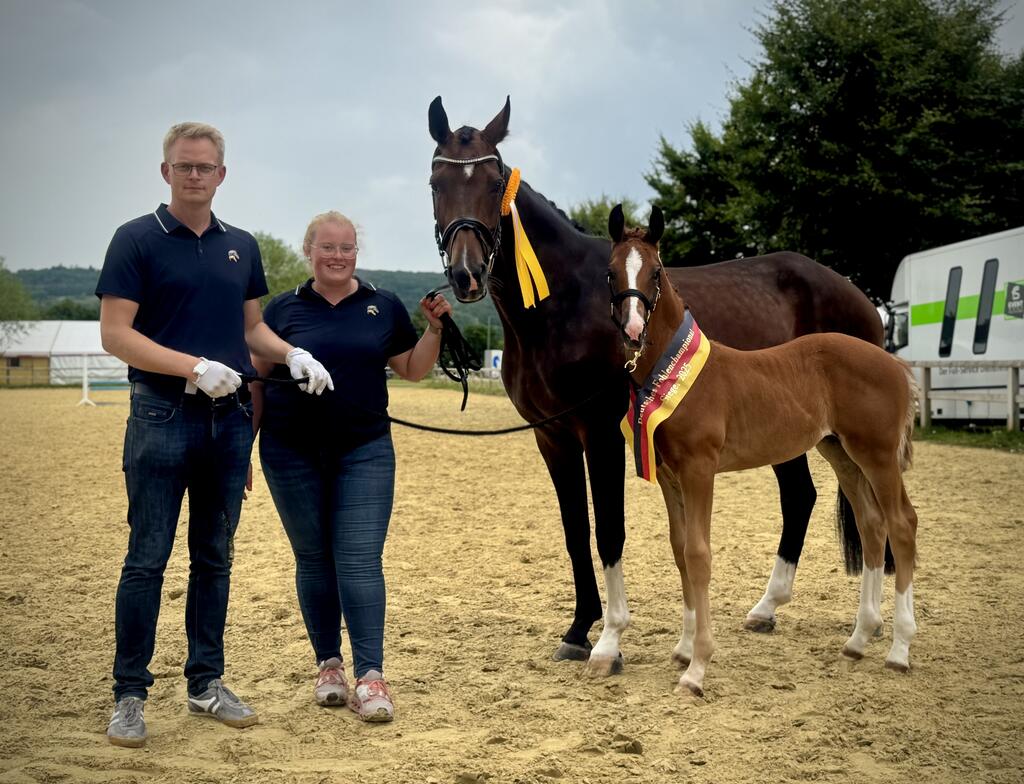 Laatste fokproduct van wijlen Ewald Grotelüschen wint Oldenburger Fohlenchampionat Lienen