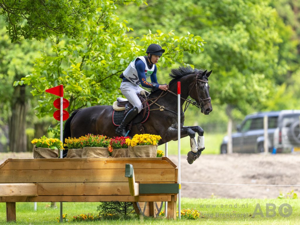 EK Eventing jeugd: Cross brengt Nederlandse teams geen succes featured image