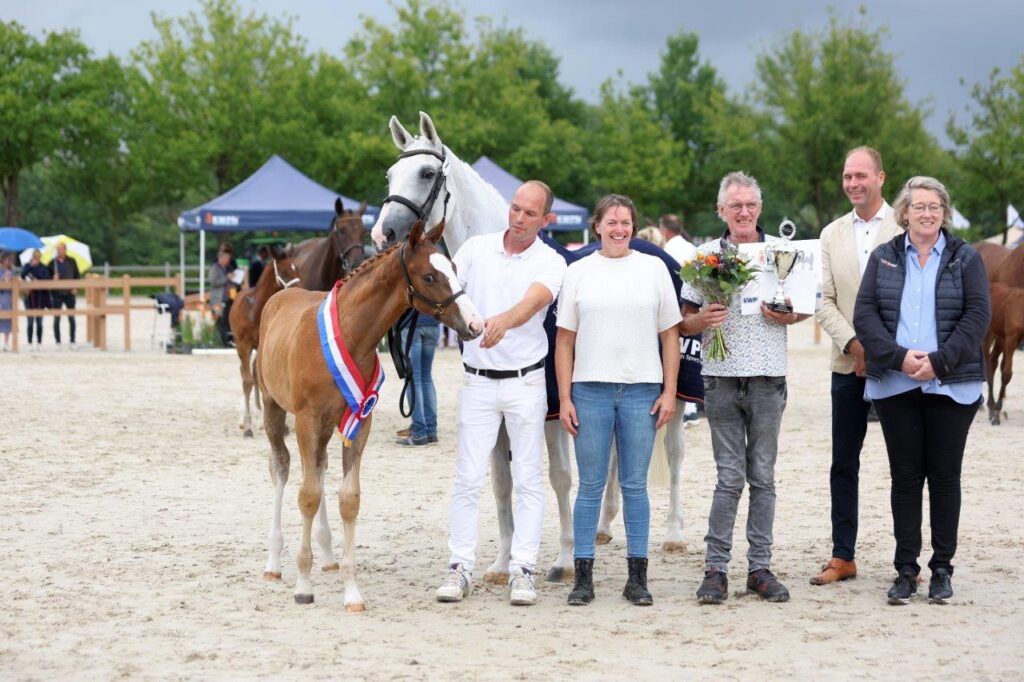 Topveulens in Team Nijhof Foal Market: Nederlands Kampioen te koop featured image