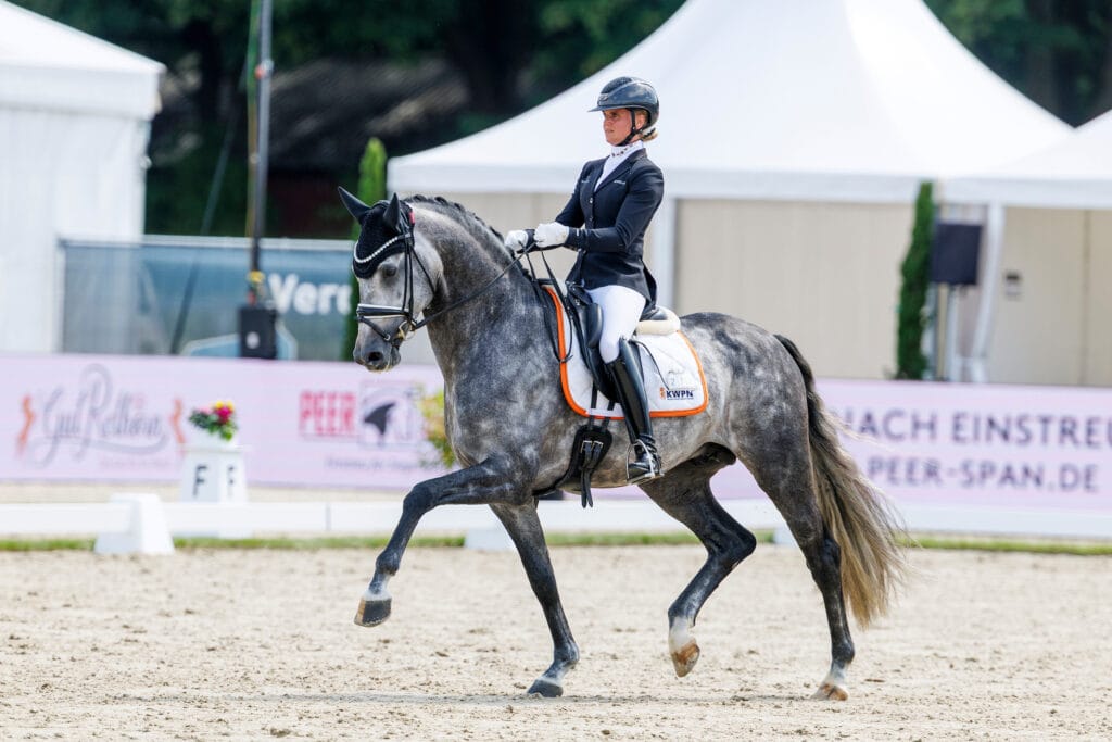 50.000 euro voor embryo van Wereldkampioen x reservekampioen featured image