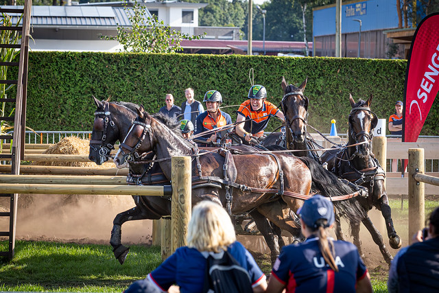 Goud voor TeamNL én Bram Chardon op EK Vierspannen featured image
