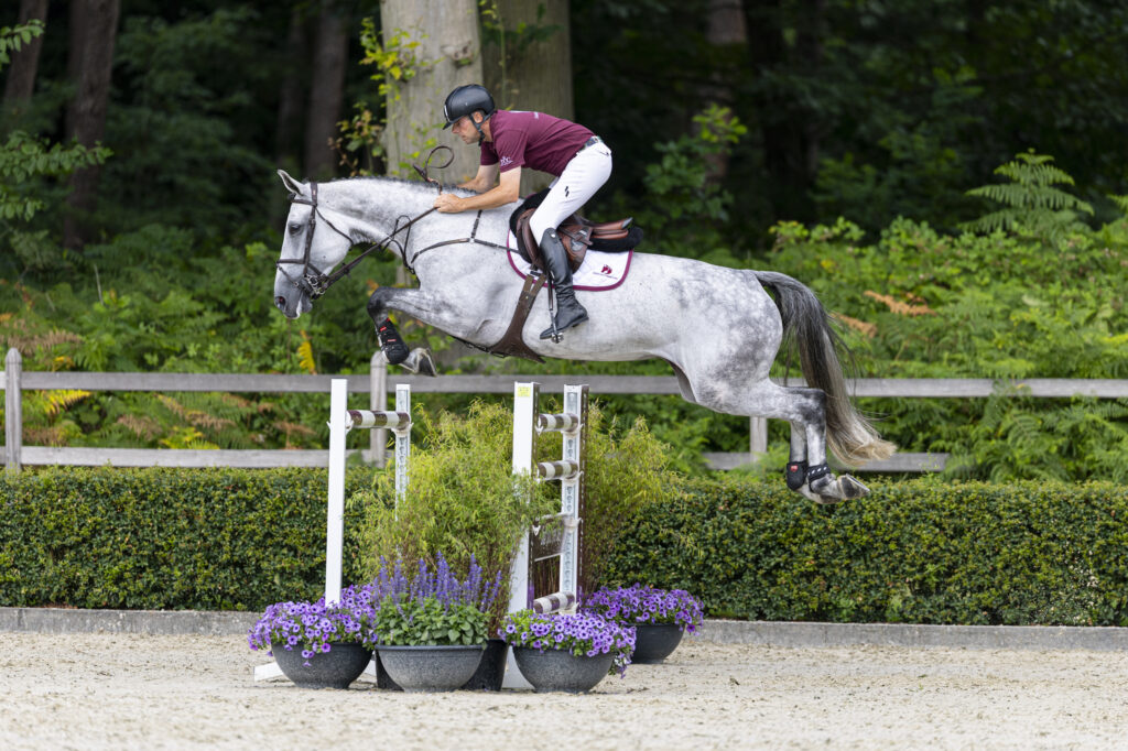 Dutch Sport Horse Sales: vier paarden duurder dan 3 ton, 470.000 euro voor Djoka featured image