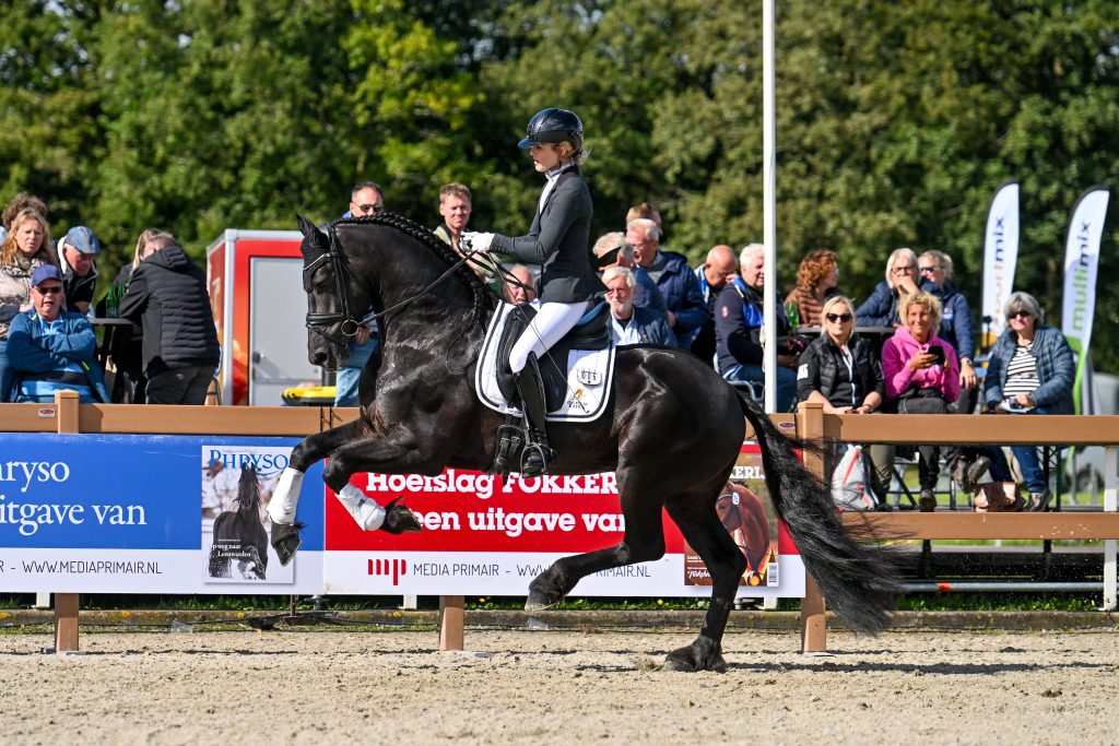 KFPS Centrale Keuring van start: Negen finalisten voor Fryso Florian bokaal hengsten/ruinen featured image