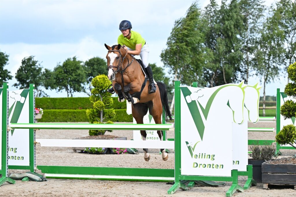 Veiling Dronten: 40.000 euro voor Grandorado-ruin, Dijkman koopt Mindset-dochter featured image