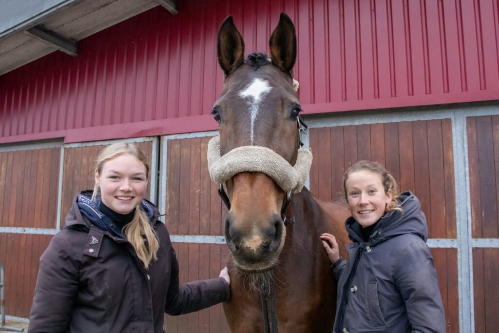 Van je passie je beroep maken? Praktische mbo-opleiding Paardenhouderij bij Vonk Alkmaar featured image