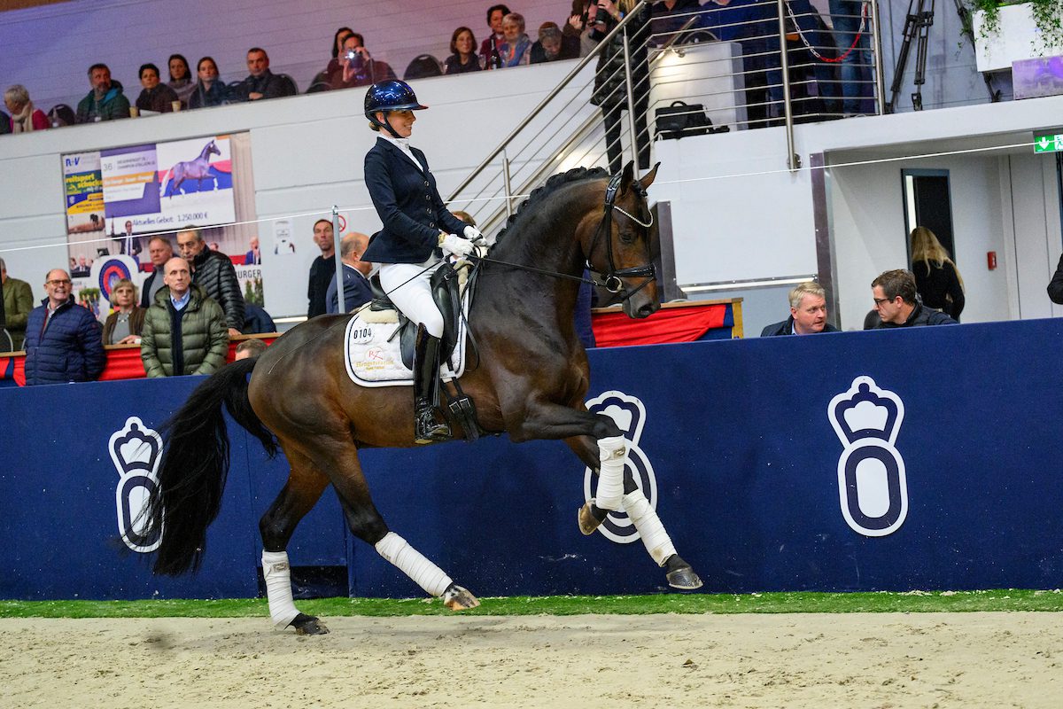 22.500 euro Dynamic Pur-zoon in DSP-veulenveiling