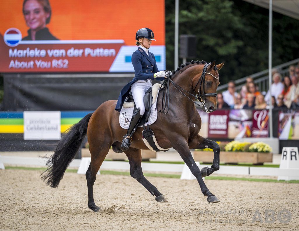 Marieke van der Putten en About You voeren Nederlandse top 4 aan in Intermédiare I Kronenberg