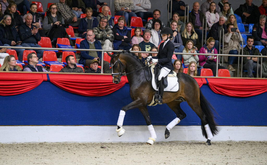 DWB-nakeuring: Reservekampioenen Westfalen en Trakehner Verband krijgen groen licht featured image